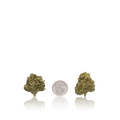 Bulk Budget