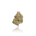 Premium Flower