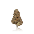 Premium Flower