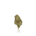 Xotic Flavorz Flower