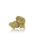 Budget Flower