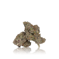 Exotic Flower