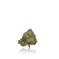 Xotic Flavorz Flower