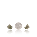 Bulk Exotic Smalls