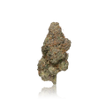 Exotic Flower