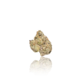 Premium Indoor Flower