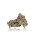 Exotic Flower