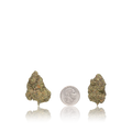 Premium Flower