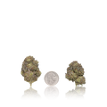 Bulk Value