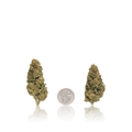 Bulk Budget