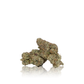 Exotic Flower