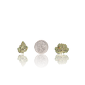 Exotic Smalls