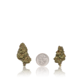 Value Flower