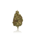 Budget Flower