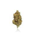 Budget Flower