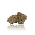 Exotic Flower