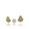 Premium Flower