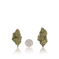 Bulk Premium