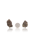 Bulk Exotic