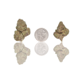 Budget Flower