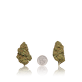 Value Flower