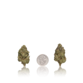 Bulk Premium
