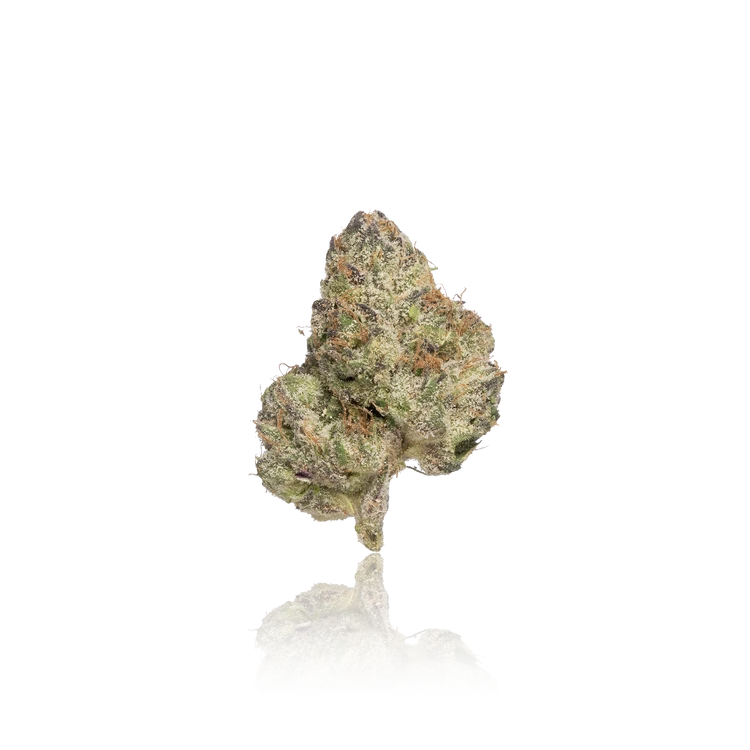 Exotic Flower