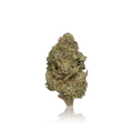 Bulk Premium