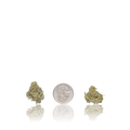 Exotic Smalls