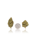 Budget Flower