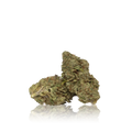 Bulk Premium