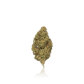 Budget Flower