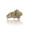 Exotic Flower