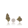 Budget Flower