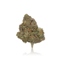 Exotic Flower