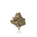 Budget Flower