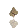 Budget Flower