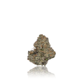 Exotic Flower