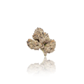 Premium Indoor Flower