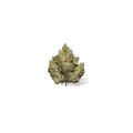 Premium Indoor Flower