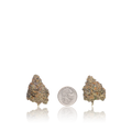 Premium Flower