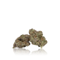 Exotic Flower
