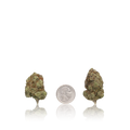 Bulk Premium