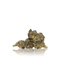 Budget Flower