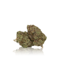 Bulk Premium