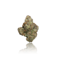 Exotic Flower