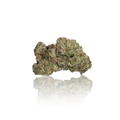 Exotic Flower