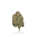 Premium Flower