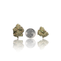 Exotic Flower