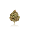 Budget Flower